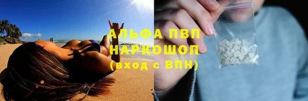 прущие грибы Нефтегорск