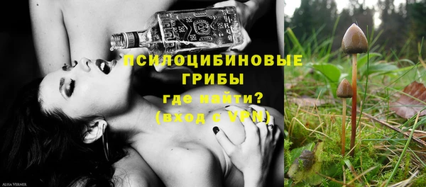 ГАЛЛЮЦИНОГЕННЫЕ ГРИБЫ Нефтекумск