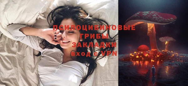 прущие грибы Нефтегорск