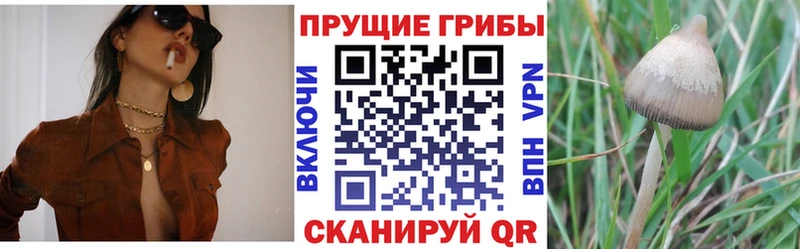 цена наркотик  Шарыпово  Галлюциногенные грибы мухоморы 